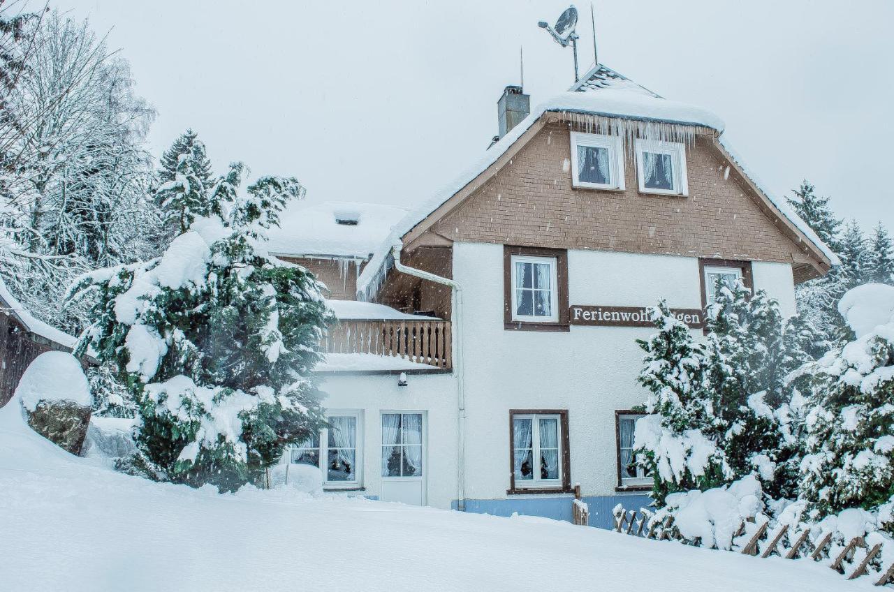 Schwarzwald Apartments Im Haus Tanneck - Feldberg - Titisee Dış mekan fotoğraf