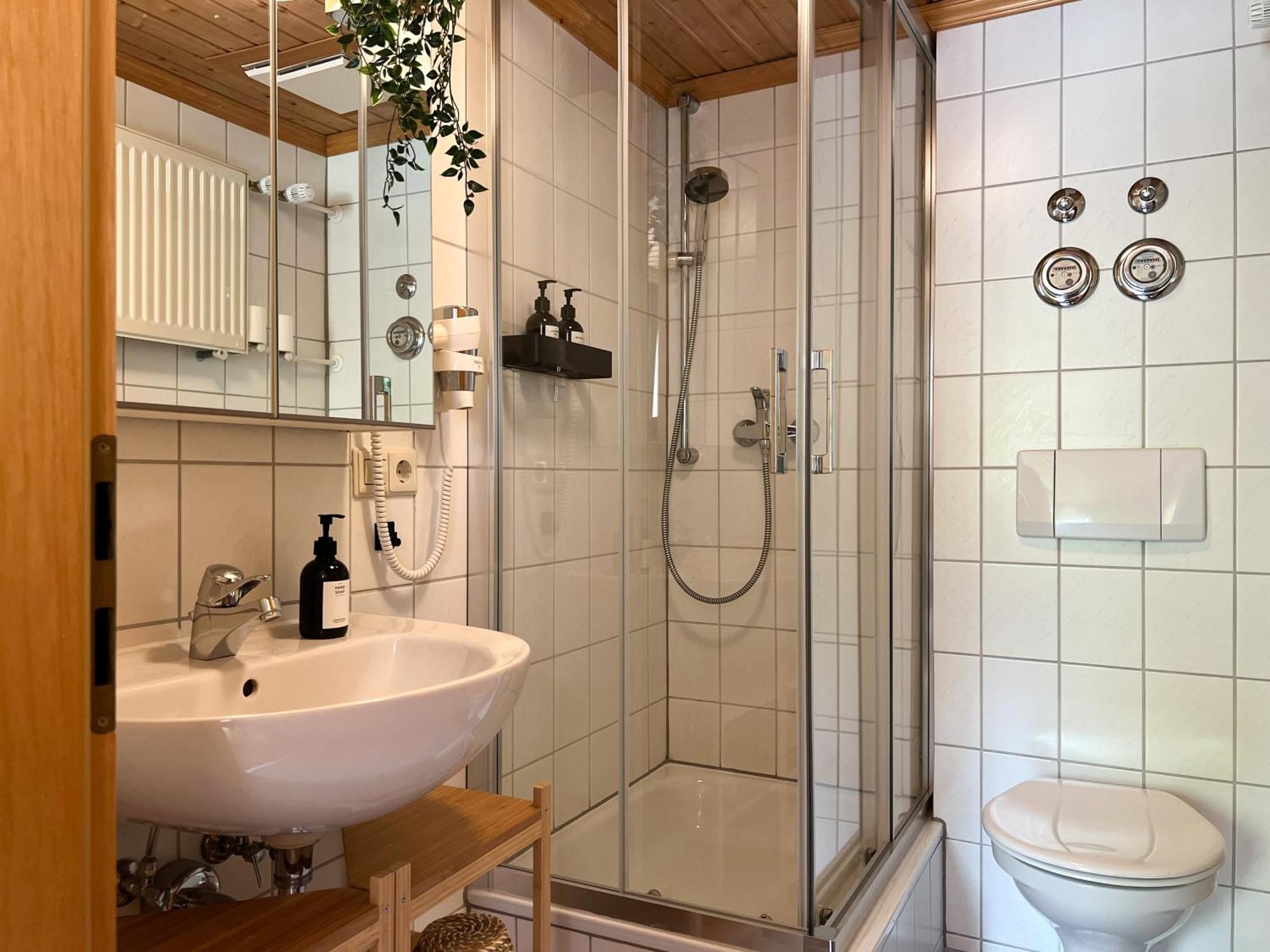 Schwarzwald Apartments Im Haus Tanneck - Feldberg - Titisee Dış mekan fotoğraf